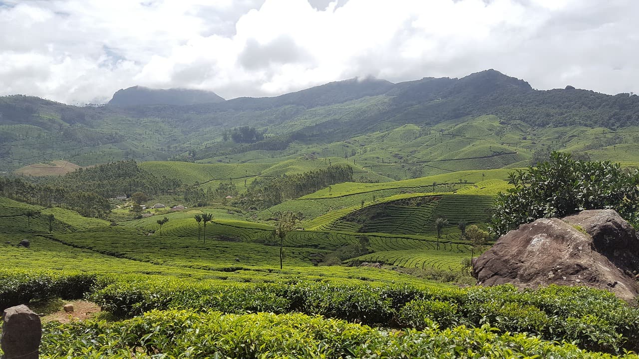 Munnar - Best places to visit in kerala